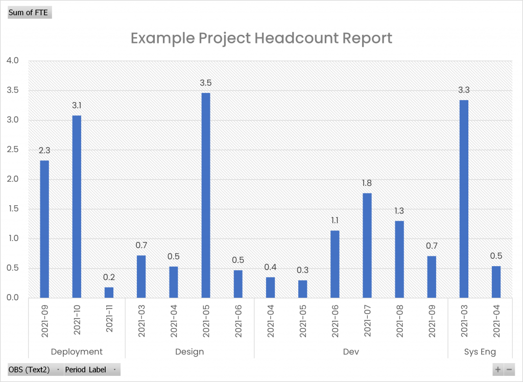 Example Project Headcount Report